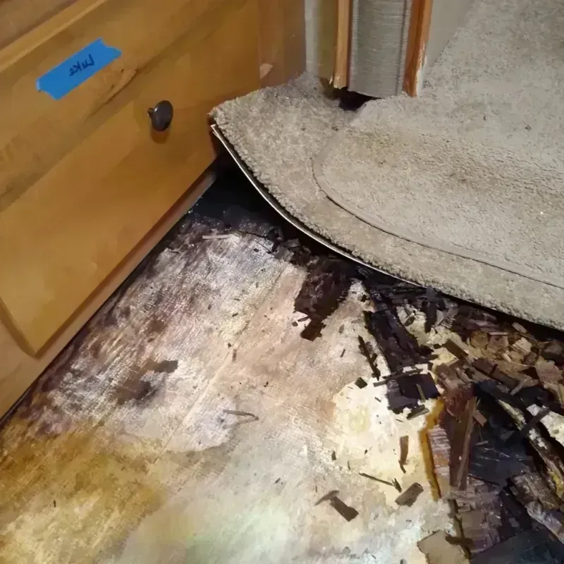 Wood Floor Water Damage in Muskegon Heights, MI